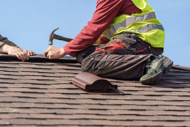 Best Roof Gutter Cleaning  in Flemingsburg, KY